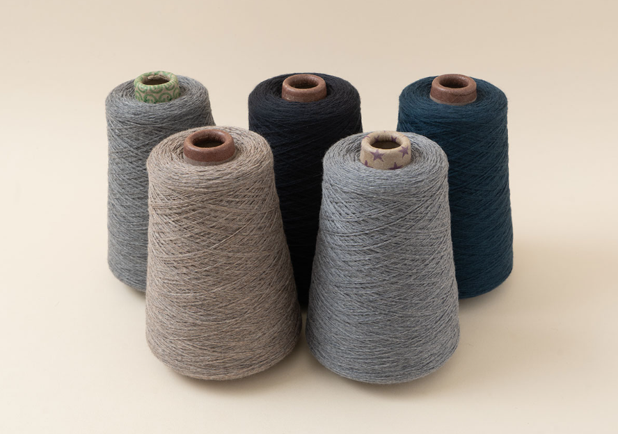 코튼 질롱(Cotton Geelong)